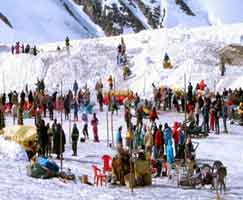 Shimla Manali Tour