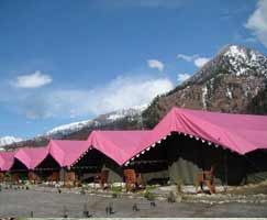 Travel Package Shimla Manali